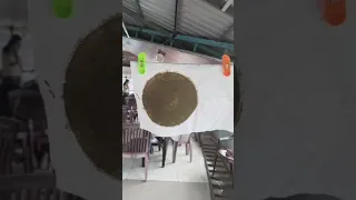                     دندنها