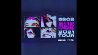 Download 5 Seconds of Summer - Wildflower (Live Concert Concept) MP3