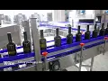 6000bph Automatic Glass Bottle Still Wine Filling Packing Line cork aluminum caps