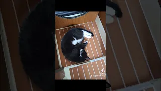 A small change can make a big difference! 😊#sailinglife #liveaboardlife #żeglarstwo #aroundtheworld