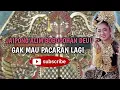 Download Lagu JAIPONGAN ~ ALIM BOBOGOHAN DEUI ~ BAJIDORAN ~ SUKABUMI 2021