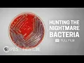 Download Lagu When Antibiotics Don't Work (full documentary) | FRONTLINE