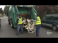 Tacoma Report-Curbside Community Cleanups-June 11 2020