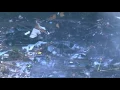 Raw Home Leveled by Explosion in Washington