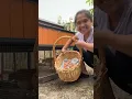 Download Lagu Bahay ni Inday roning sa America Puno ng Gulay at Prutas sa Paligid
