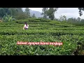 Download Lagu Semesta memang kadang suka bercanda🍃