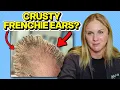EP336 - Dog Ear Diseases Explained Scabies Pinnal Vasculitis More The Derm Vet Podcast