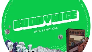 buddynice vibes redemial mix 
