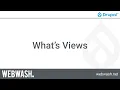 Getting Started with Views 1 1 - What s Views