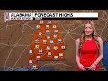 Alabama Weather Network Statewide Morning Forecast 26