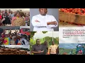 Download Lagu Prez Mahama Purchases 5000 Boxes Of Tomatoes \u0026 Onions From Agogo Farmers To Feed Kumasi SHS Students