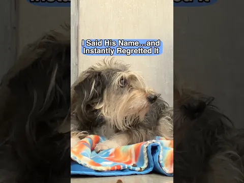 I Said His Name…and Instantly Regretted It