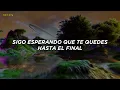 Alok, The Chainsmokers & Mae Stephens - Jungle // sub español