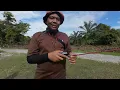 Download Lagu SAWA D RANDUK SIRI 1 (TAIPING PERAK)