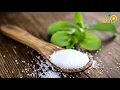 Download Lagu Begini Cara Membuat GULA STEVIA CAIR ... Ternyata Sangat Mudah !!!