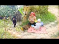 Lagu FULL VIDEO: She Had No One — 300 Days Building a Bamboo House Alone