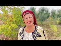 Lagu 🎶 Nicoleta Voica – Băgița care mă ceme | Videoclip Oficial 2025 | Folclor Bănățean Autentic 🌿