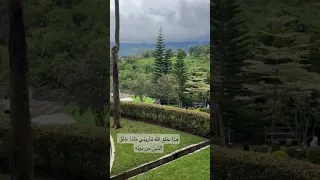 هذا خلق الله فأروني ماذا خلق الذين من دونه  تلاوة عذبه للقارىء ياسر الدوسري   دندنها