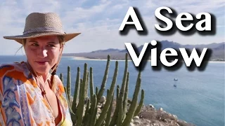 A VIEW OF THE SEA [Adventure #51]