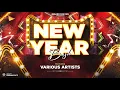 Download Lagu DJ ANSHU - मया देदे मया लेले || Maya Dede Maya Lele - Reboom || Cg Remix #NewYearSpecial2025