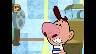 the really odd couple corton haddi mera buddy cartoon hindi video