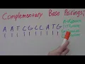 Complementary Base Pairings DNA How to find Complementary Base Pairing for DNA