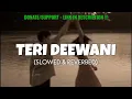 Teri Deewani [Slowed + Reverb] - Kailash Kher | Lofi edits