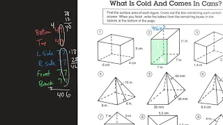 Surface Area Pizzazz D-65