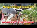 Ngangget Don Bingin Maligia Punggel Tamanbali Bangli ~ 06112025 #blijulpande #nakbali 
