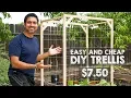 How to Make Easy and Cheap Trellis
