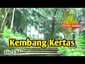 Download Lagu KEMBANG KERTAS - Gito S BA ( Video  Music kendang kempul )