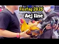 Download Lagu Fiestag 2025