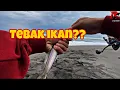 Download Lagu 🔴Gak Nyangka! Tiba-Tiba Ikan Ini Makan Umpan Pancingku, Lemparan Mepet Bibir Laut| mancing pasiran
