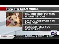 Scam targets pet owners