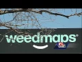 Have you seen these billboards Weedmaps advertise marijuana-based services in NOLA