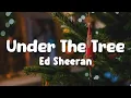 Download Lagu Ed Sheeran - Under the Tree (from “That Christmas”) (Lyrics Video)