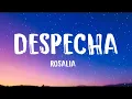 Rosalia - Despecha ( Letra/Lyrics )