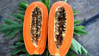 A FRUTA DOCE QUE ABSORVE O AÇÚCAR NO SANGUE