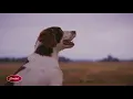 Coastal Farm Ranch Branding 2019