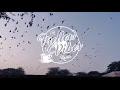 Big City Beats - Chillhop and lofi by Nymano & Pandrezz | 1 Hour