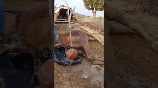 م ط ر ق ة عال ق ة خ ل ف ج م ل ف ي ص ح ر اء ت ر 