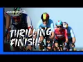 Download Lagu THRILLING FINISH! 🔥 | UEC European Championships Elite Men's Road Race 2023 | Highlights