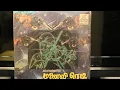 Download Lagu Saan Pillai | Manaivi Ready | Ilayaraaja | 80's Tamil Vinyl/Records