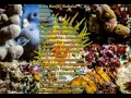 Download Lagu Lagu:RT.5.RW.3.Penyanyi asli:Cici Paramida.Dinyanyikan kembali oleh:Dyah Setyorini.