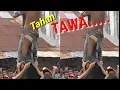 Detik2 Paling Lucu Saat Panjat Pinang...😂