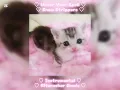 ♡Under Your Spell–Snow Strippers–Instrumental–Bitcrusher Remix♡
