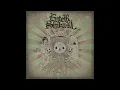 Enter Shikari - Stand Your Ground; This is Ancient Land + Enter Shikari + Mothership [GAPLESS]