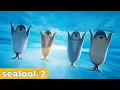 I Could Die Laughing 😂 | SEALOOK Compilation