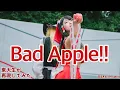 Download Lagu 【東大生が】Bad Apple!! 【再現してみた】