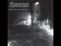 Download Lagu Havocum - Basement Dreams and Morbid Visions  (Full Album)